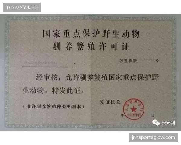换人未获许可入场,为何会被判罚?规则拆解
